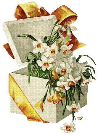 Daffodils Gift - Безплатен анимиран GIF