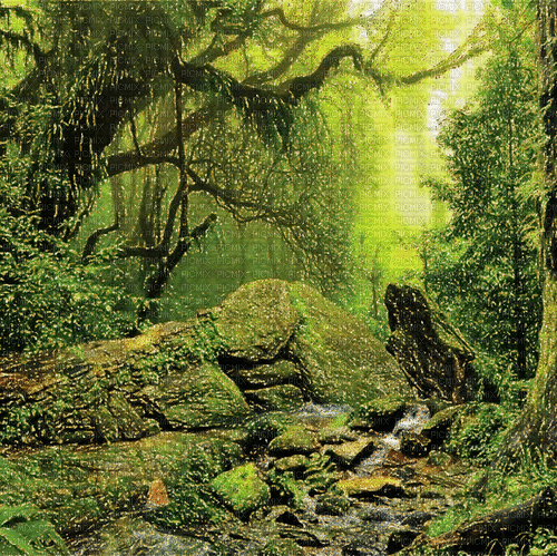 Rena Forest Wald Hintergrund glitter - GIF เคลื่อนไหวฟรี