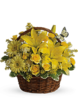 Kaz_Creations  Flowers Vase Plant Basket - PNG gratuit