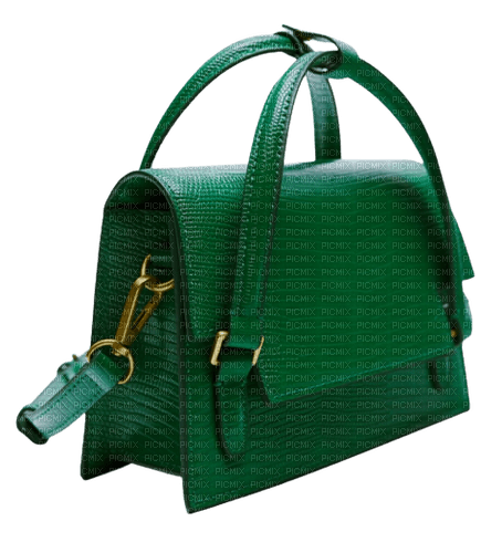 Bag Green - By StormGalaxy05 - darmowe png