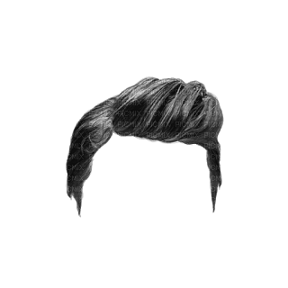hair, wig bp - gratis png