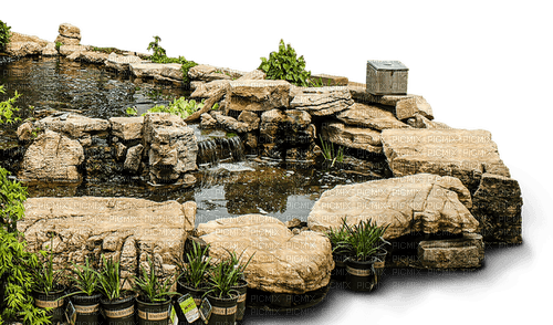 Kaz_Creations Pond - darmowe png