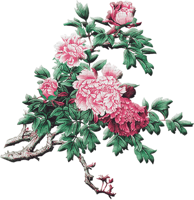 soave deco flowers oriental branch pink green - PNG gratuit