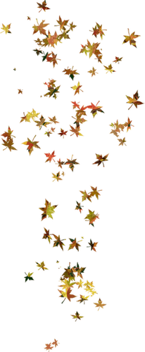 leaves fall autumn feuille leaf - ücretsiz png
