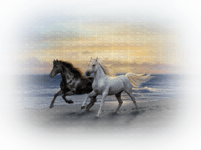 Kaz_Creations Paysage Scenery Horses Horse - ücretsiz png