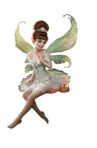 fairy by nataliplus - PNG gratuit