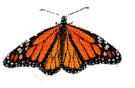 Papillon ** - GIF animado gratis