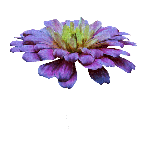 Bloemen en planten - Безплатен анимиран GIF