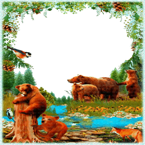 bär bear milla1959 - GIF animado gratis