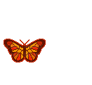 butterfly anastasia - Free animated GIF