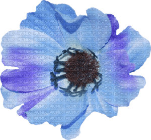 minou-blue-flower - 無料png