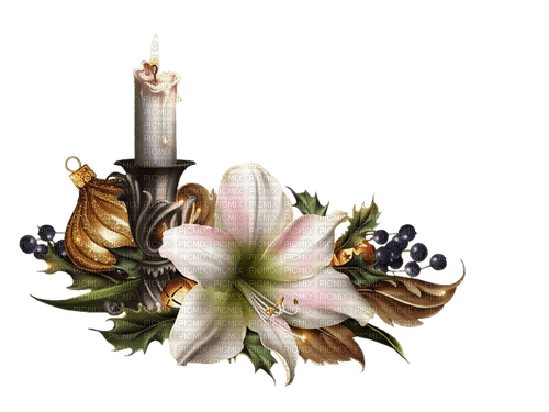 candle light christmas flower deco rox - Free PNG