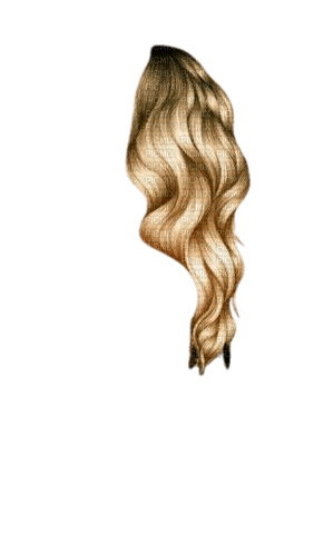 cheveux - kostenlos png