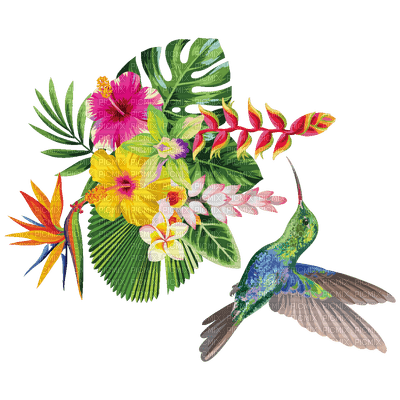 fleur colibri - nemokama png