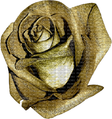Roses dm19 - GIF animasi gratis