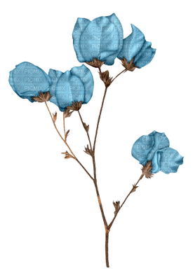 fleur bleu.Cheyenne63 - ilmainen png
