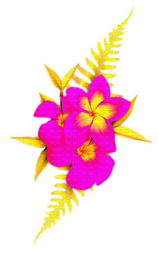 Flowers.Pink.Yellow - 無料png