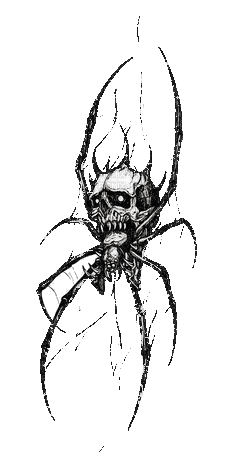 araignée - Darmowy animowany GIF