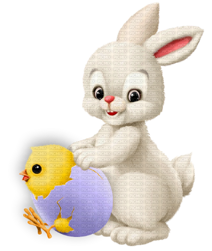 Rabbit.Chick.White.Gray.Yellow.Blue - png gratis