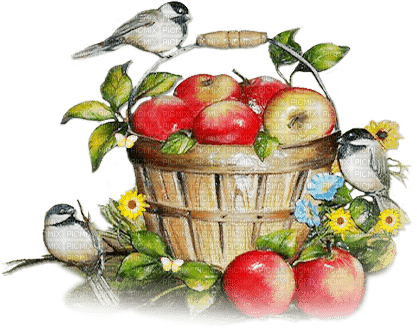 soave deco fruit apple basket bird flowers vintage - PNG gratuit