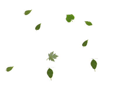 hojas - Ingyenes animált GIF