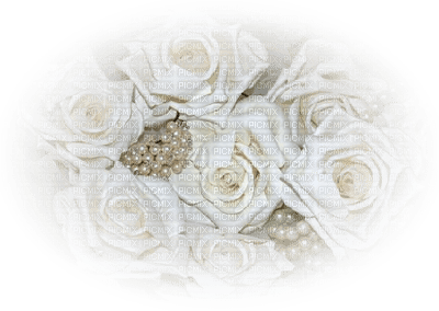 decor two katrin - 免费PNG