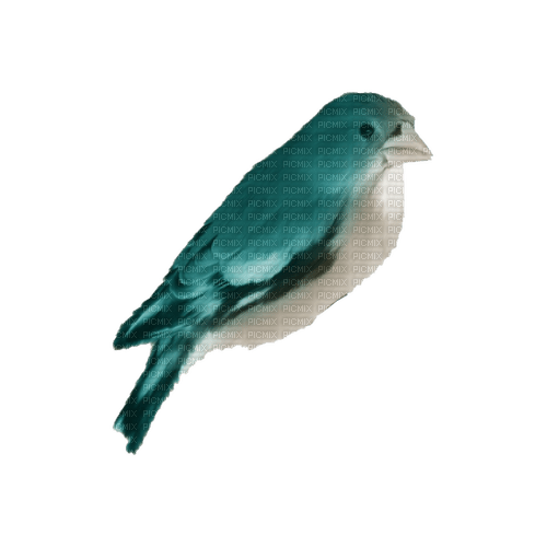 kikkapink deco scrap blue bird - бесплатно png