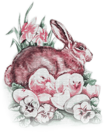 SOAVE EASTER ANIMALS vintage bunny  pink green - zdarma png