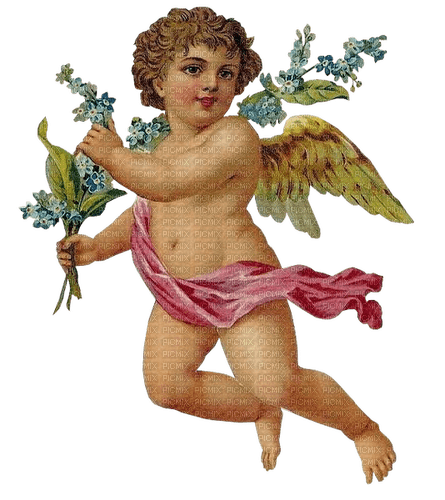 baby angel vintage dolceluna - bezmaksas png