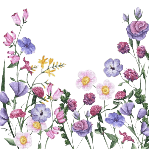 loly33 fleur aquarelle - PNG gratuit