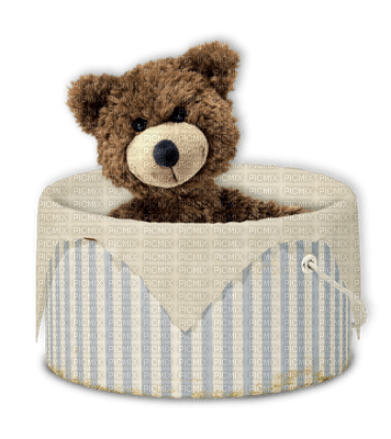 teddy bear deco tube toy sweet - bezmaksas png