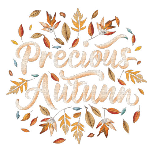 precious autumn - png grátis