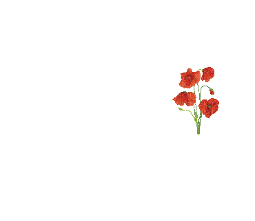 Цветок - GIF animate gratis