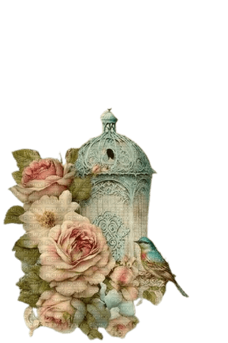 oiseau cage roses - darmowe png