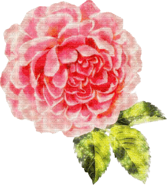 pink flower - Darmowy animowany GIF