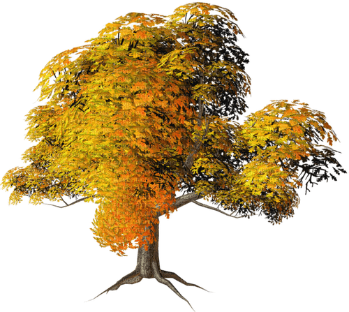 Fall Tree-RM - png gratuito