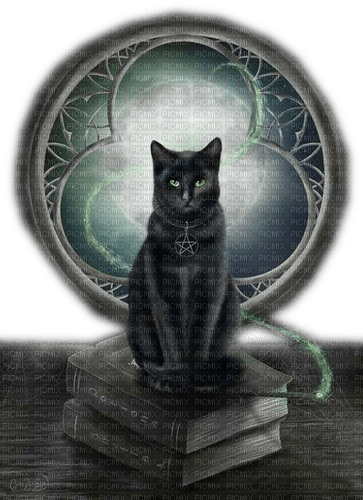 Rena black Cat Katze Gothic - gratis png