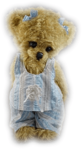 Teddy - 免费PNG