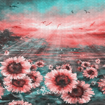 soave background animated flowers field sunflowers - 免费动画 GIF