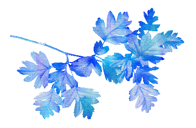 soave deco branch leaves animated autumn blue - GIF animate gratis