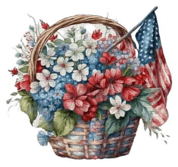 Flower USA - Bogusia - PNG gratuit