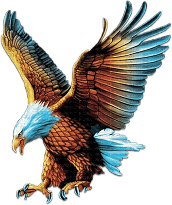 soave deco bird indian eagle blue brown - png gratis