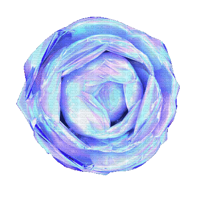 Blue Rose - Free animated GIF