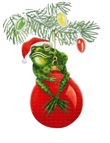 funny santa frog - ücretsiz png