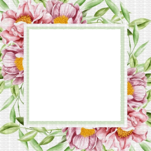 flower frame - ücretsiz png