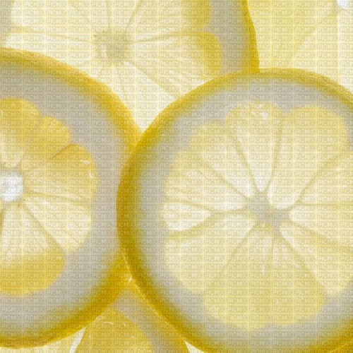 lemon background - PNG gratuit