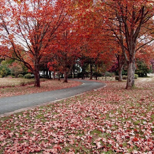 autumn deco kikkapink background path - png ฟรี