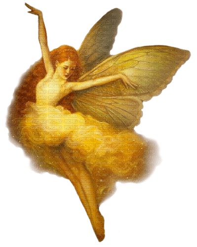 Golden fairy - png ฟรี