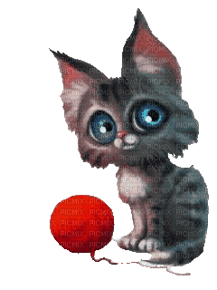 CAT - 無料のアニメーション GIF