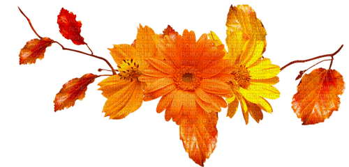 Branch.Leaves.Flowers.Orange.Yellow.Red - PNG gratuit